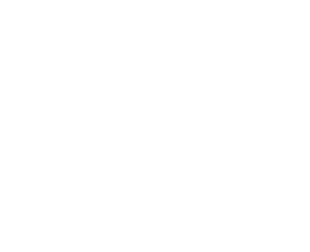 A Shell in the Pit